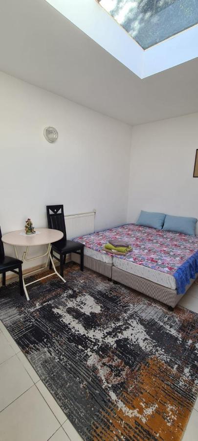 Sweet Home Antwerpen Antwerpia Zewnętrze zdjęcie